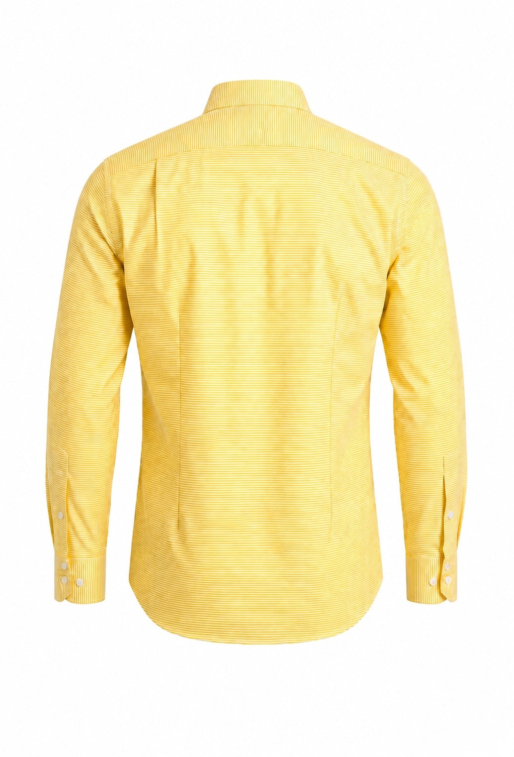 Fontelina Shirt